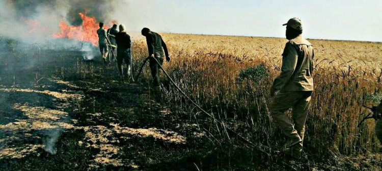 Telafer'de çiftlikler, alev alev yandı